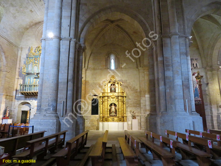 TORO (231) COLEGIATA DE SANTA MARIA LA MAYOR