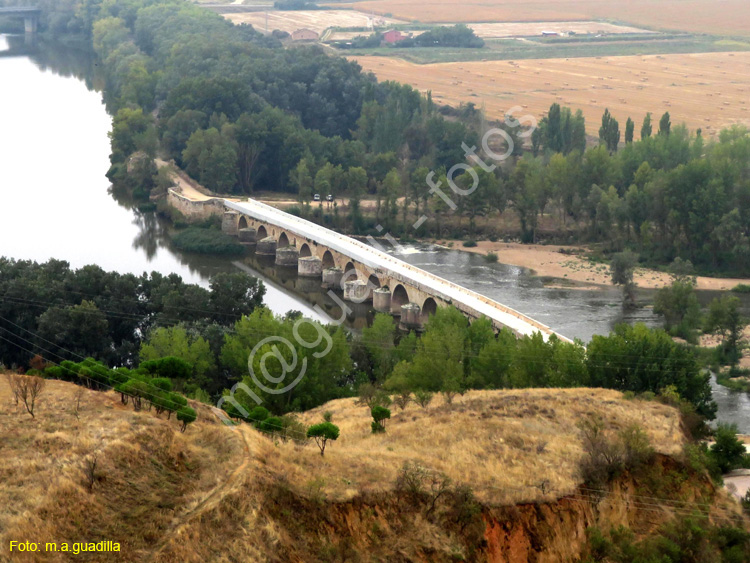 TORO (255) Puente de Piedra o Mayor