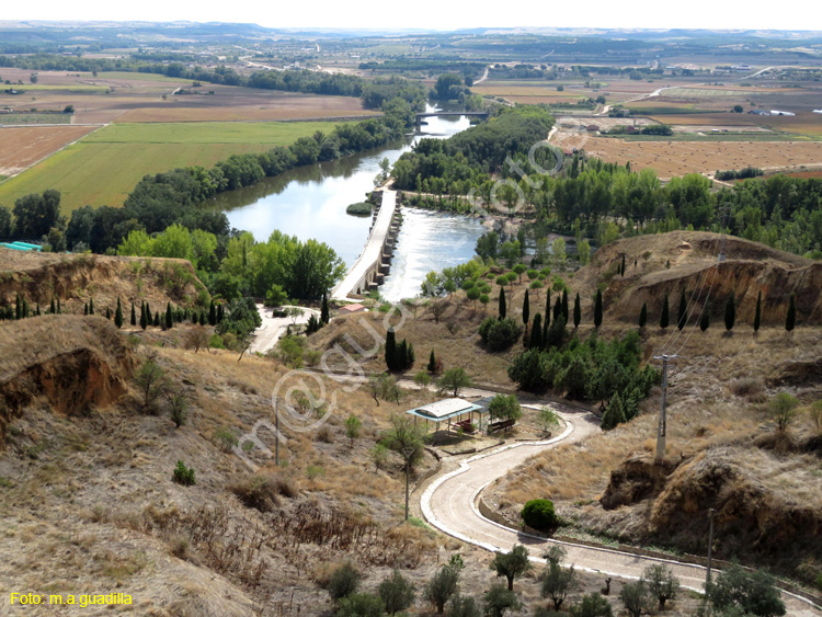 TORO (256) Puente de Piedra o Mayor