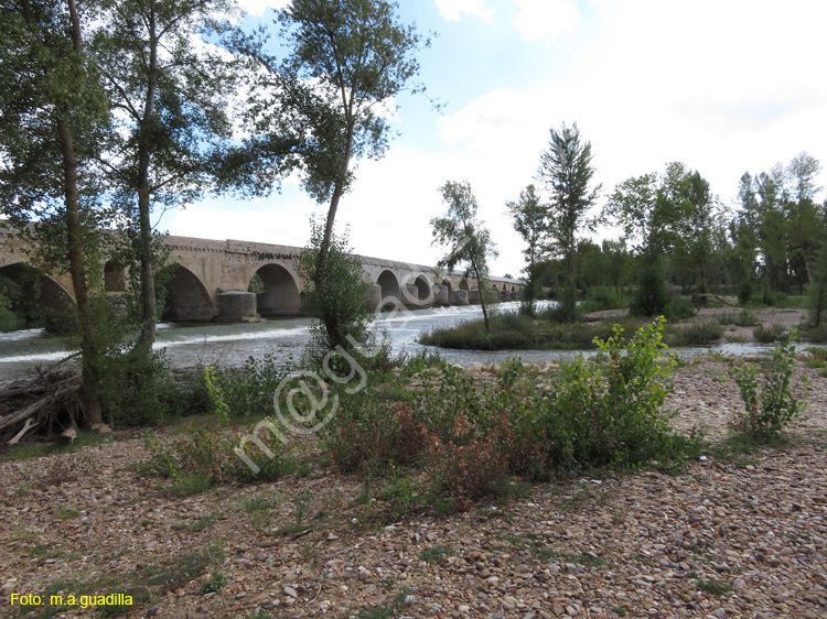 TORO (258) Puente de Piedra o Mayor
