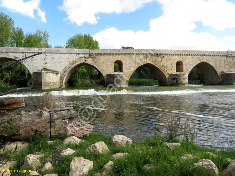 TORO (259) Puente de Piedra o Mayor