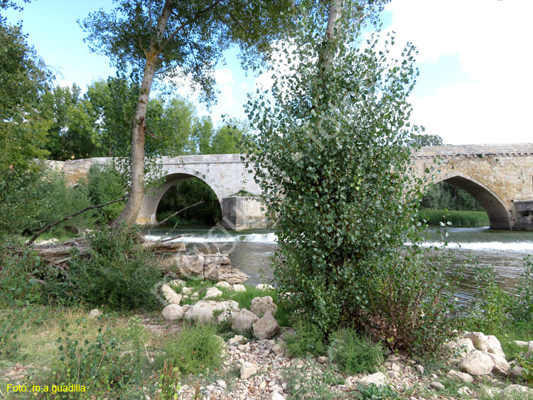 TORO (263) Puente de Piedra o Mayor