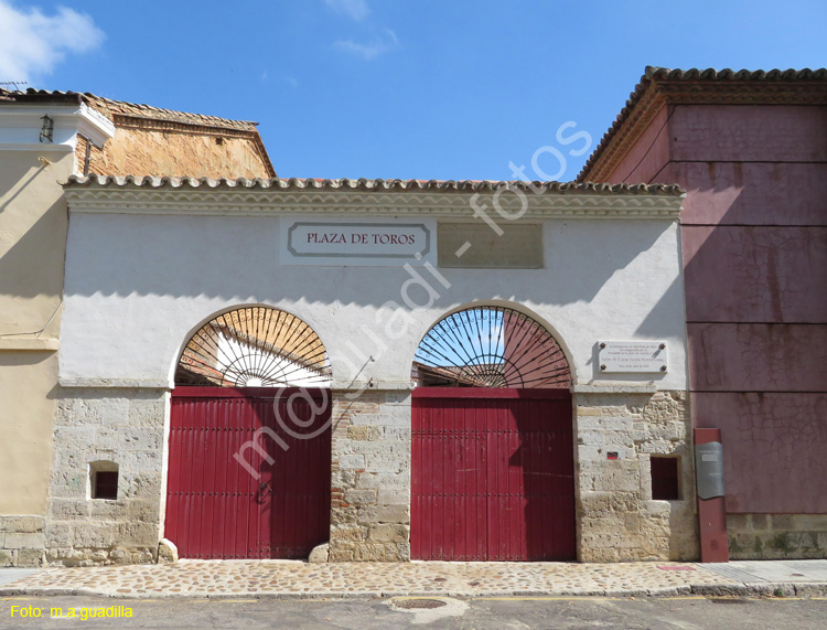 TORO (402) Plaza de Toros