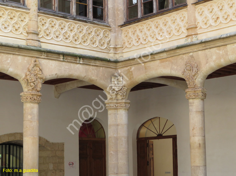 TORO (414) Palacio de los Conde de Requena