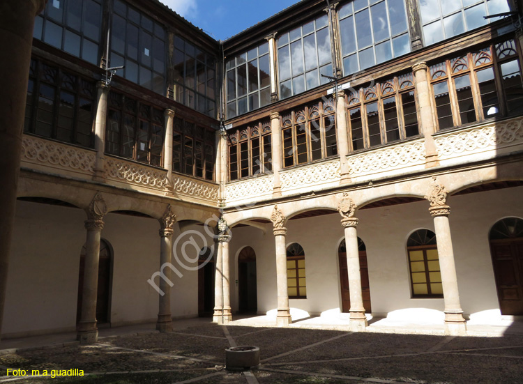 TORO (421) Palacio de los Conde de Requena