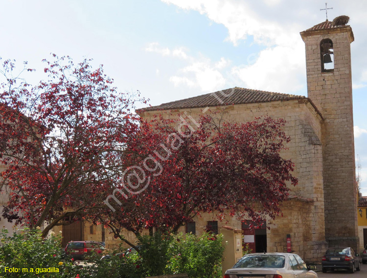 TORO (482) Iglesia de San Sebastian de los Caballeros