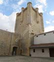 TORRELOBATON (117)