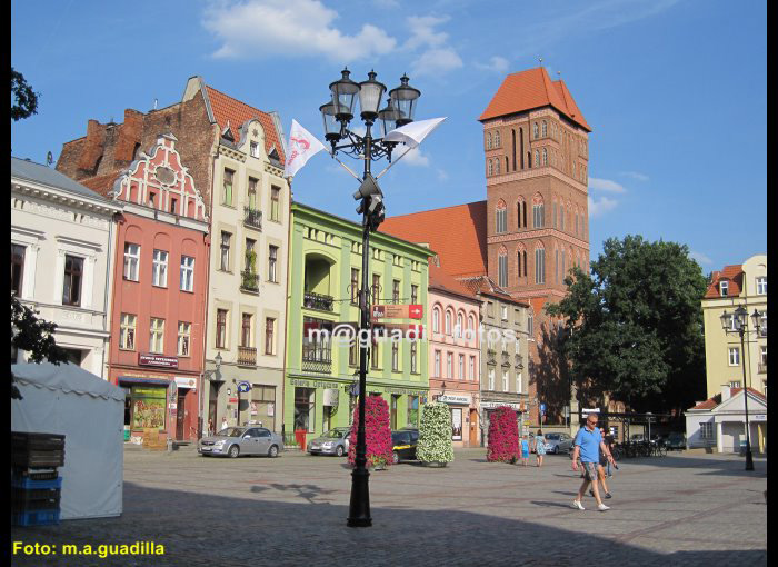 TORUN (120)