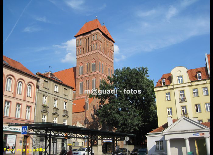 TORUN (122)