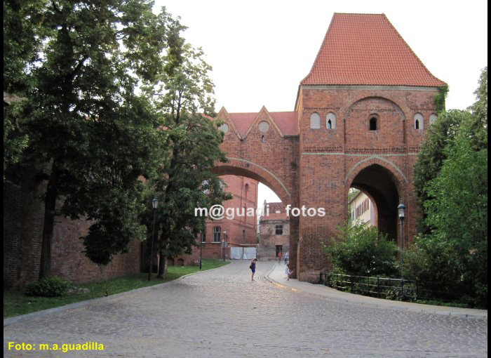 TORUN (163)