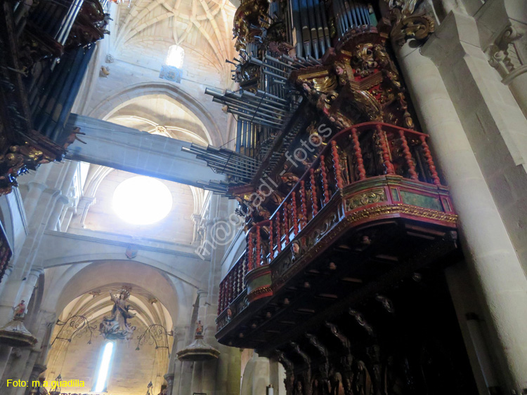 TUY (149) Catedral