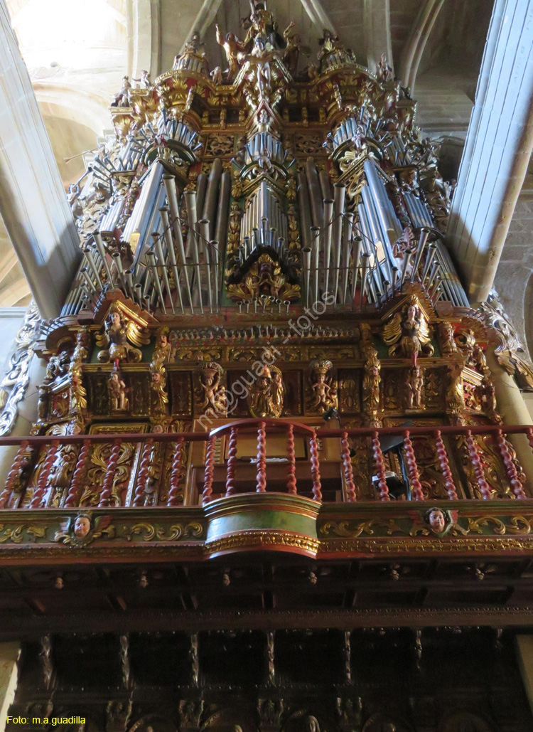 TUY (199) Catedral