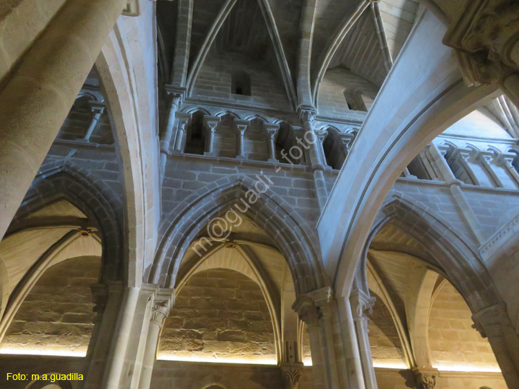TUY (202) Catedral