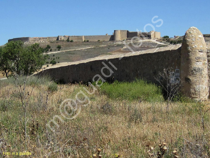 Uruena 2015 (137)