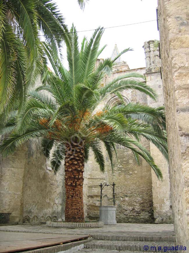 VEJER DE LA FRONTERA 009