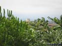 VEJER DE LA FRONTERA 002