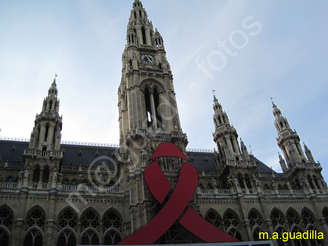 VIENA - Ayuntamiento 002