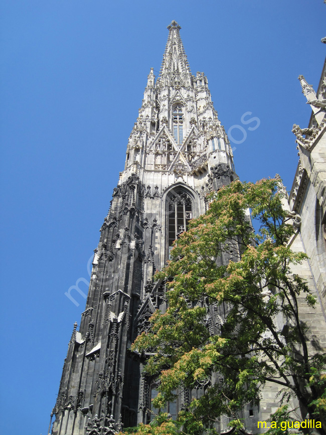 VIENA - Catedral de San Esteban 011