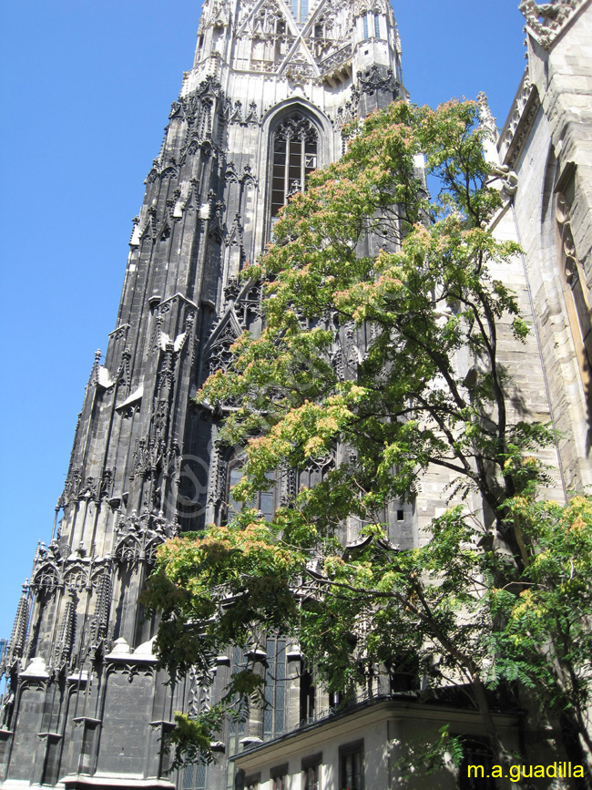 VIENA - Catedral de San Esteban 012