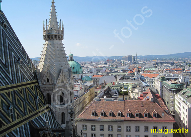 VIENA - Catedral de San Esteban 051