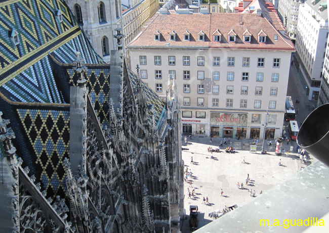 VIENA - Catedral de San Esteban 052