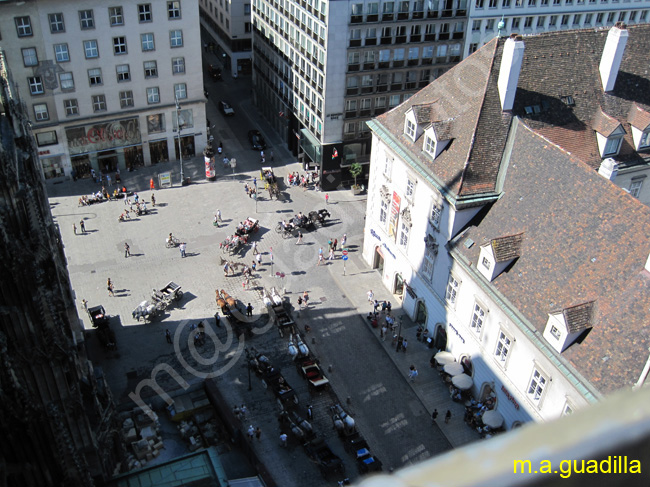 VIENA - Catedral de San Esteban 053