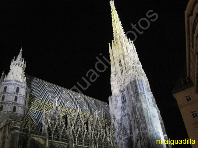 VIENA - Catedral de San Esteban 058