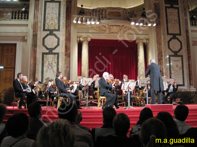 VIENA - Hofburg 082 - Sala de Conciertos