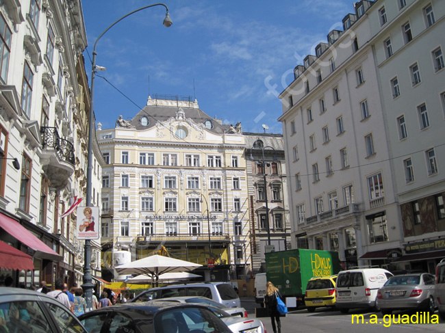 VIENA 003