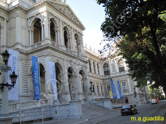 VIENA - Universidad 004