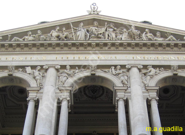 VIENA - Universidad 006