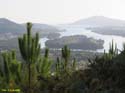 VILA NOVA DE CERVEIRA Portugal (105) Mirador del Ciervo