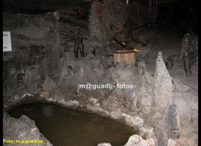 MINAS DE SAL DE WIELICZKA (129)