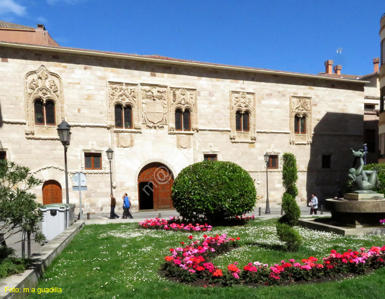 ZAMORA (146) Palacio de los Momos