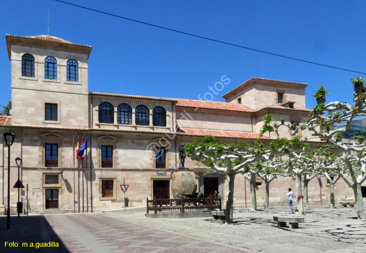 ZAMORA (233) Hospital de la Encarnacion - Antiguo