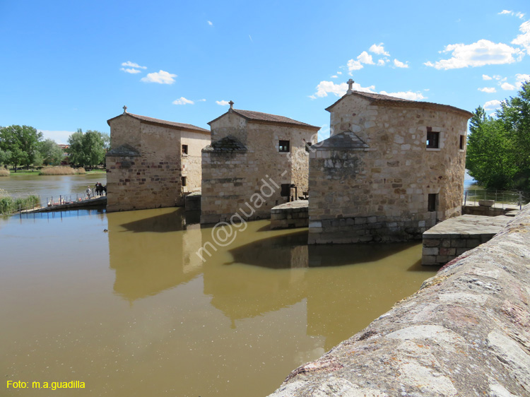 ZAMORA (451) Aceñas de OLivares