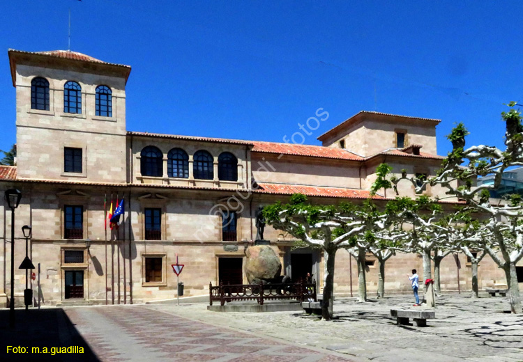 ZAMORA (101) Hospital de la Encarnacion - Antiguo