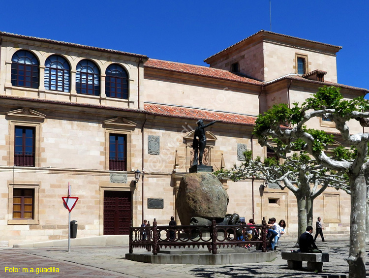 ZAMORA (113) Hospital de la Encarnacion - Antiguo