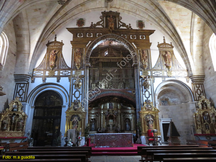 ZAMORA (102) Iglesia de S. Pedro y S. Ildefonso