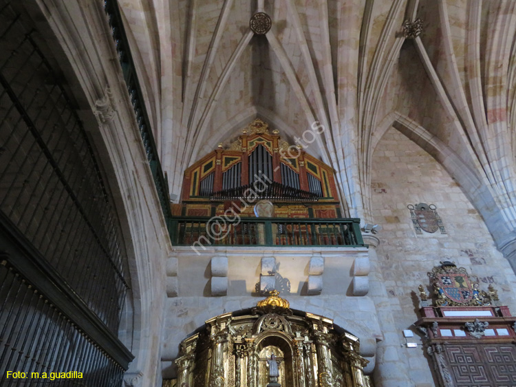 ZAMORA (104) Iglesia de S. Pedro y S. Ildefonso