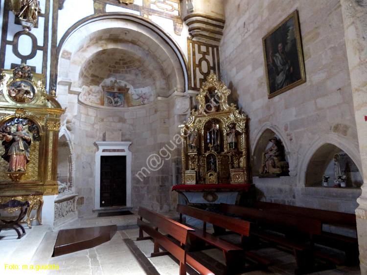 ZAMORA (105) Iglesia de S. Pedro y S. Ildefonso