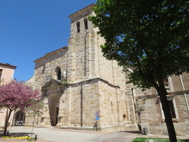 ZAMORA (109) Iglesia de S. Pedro y S. Ildefonso