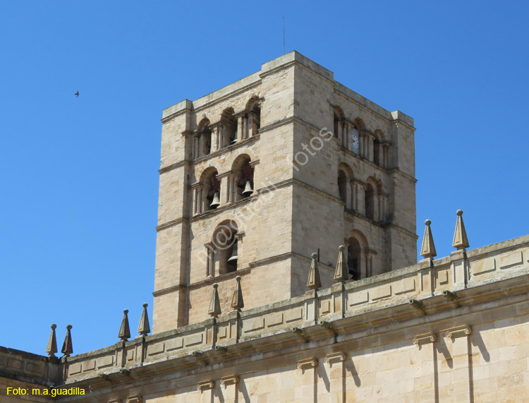 ZAMORA (285) Catedral