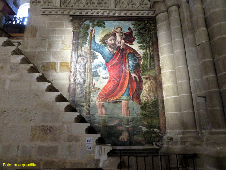 ZAMORA (310) Catedral