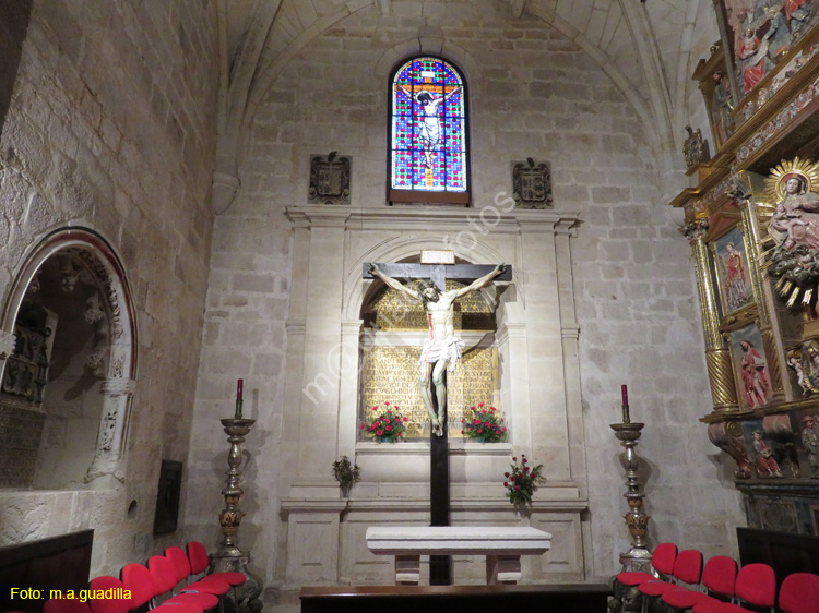 ZAMORA (343) Catedral