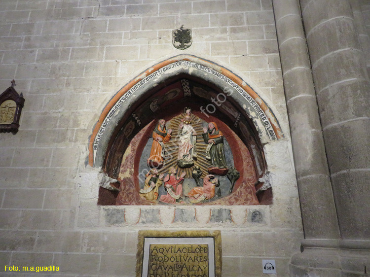 ZAMORA (352) Catedral