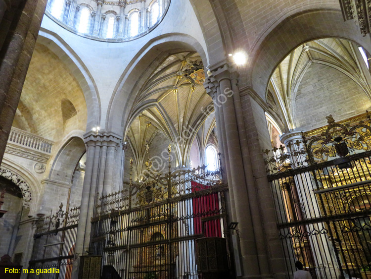 ZAMORA (353) Catedral