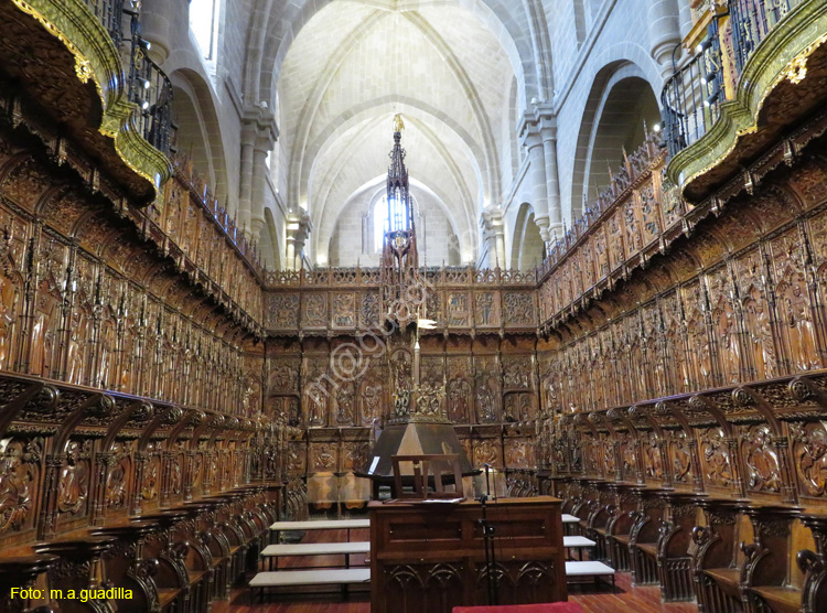 ZAMORA (357) Catedral