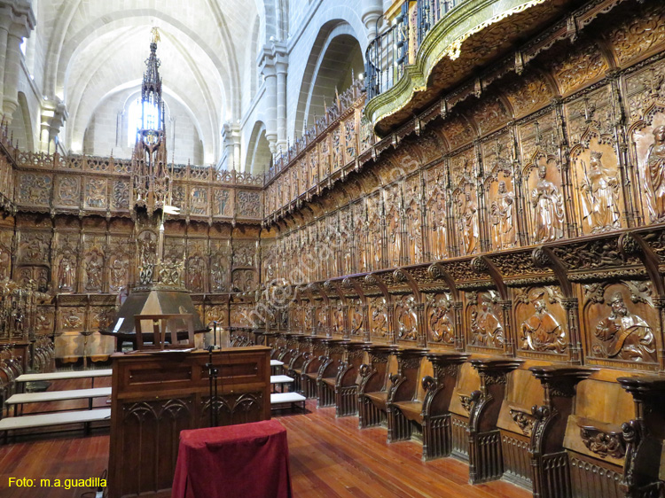 ZAMORA (358) Catedral