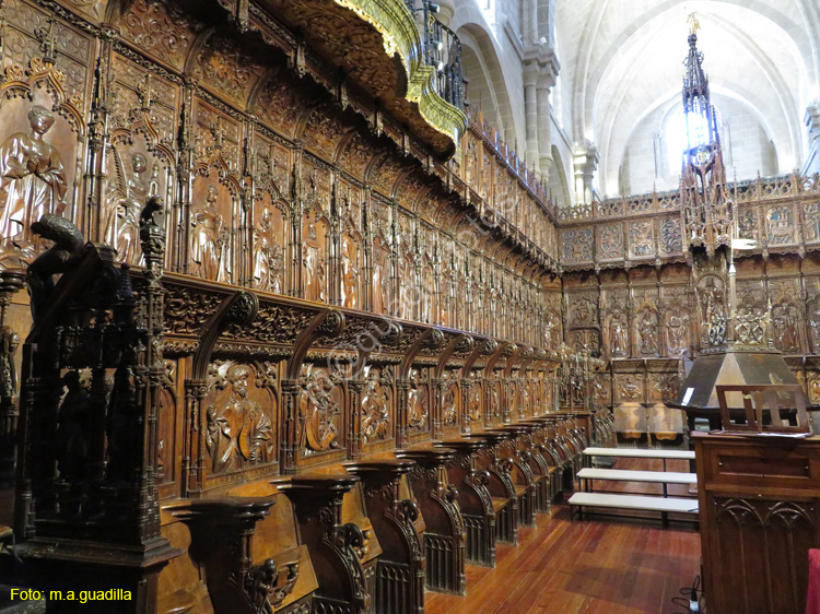 ZAMORA (359) Catedral